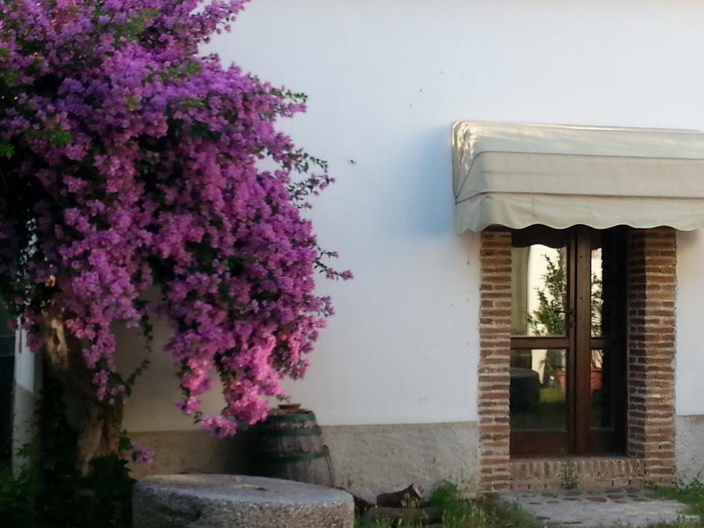 Agriturismo Malena Rossano Exterior foto